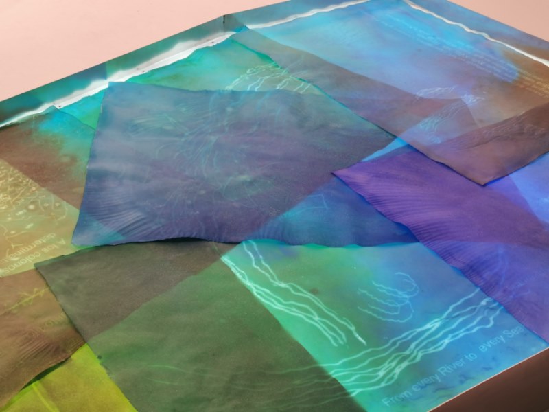 Obra de Claudia Pages