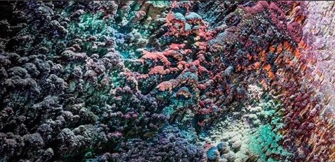 Dylan Gebbia-Richards. "Viridescent"