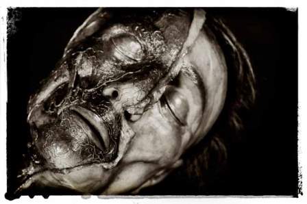 Actividades en torno a la exposición “Arte y Carne”