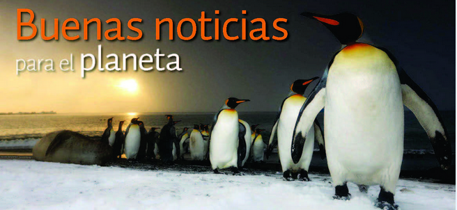 Buenas noticias para el planeta 