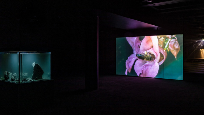 Pierre Huyghe. Offspring