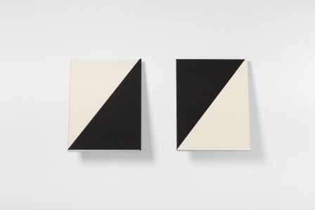 Fernanda Fragateiro, "forget me (not)" 
