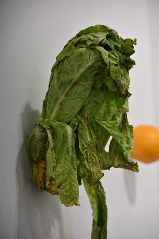 Instalación 'Kitchen Pieces', de Karin Sander (Galería Helga de Alvear)