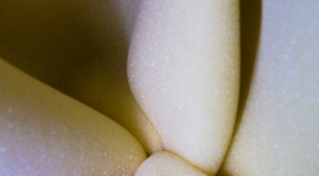 Martin Soto Climent at Proyectos Monclova 