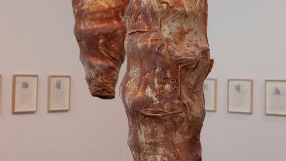 Carlos Bunga at the European Biennial Manifesta 15