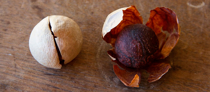 Rubén Ramos Balsa footsteps 