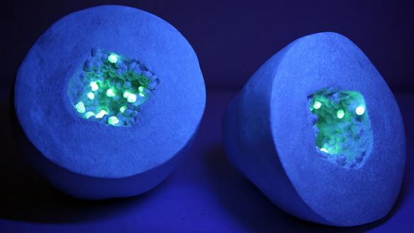 Luna Bengoechea. Carica Papaya, 2016. Escultura intervenida con pintura fotoluminiscente. Cortesía Galería Lucía Mendoza