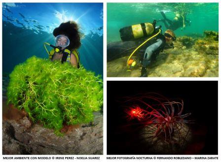 Las Palmas de Gran Canaria se prepara para la novena edición del Concurso de Fotografía Submarina