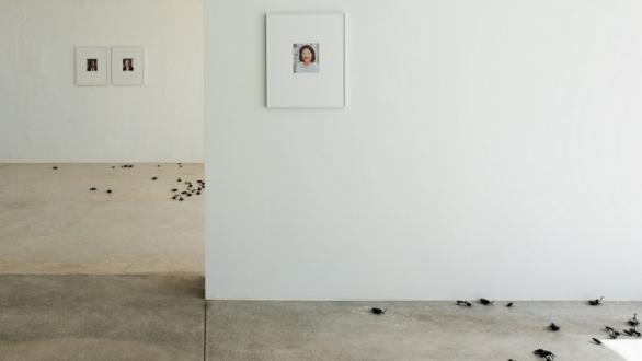 Vista de la instalación de Protein. Foto Mashakart 