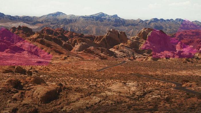 Pulse Art Fair Debuts The Next Generation Initiative