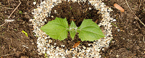 Llegó el tiempo para ver La Otra, Bienal de Arte de Bogotá