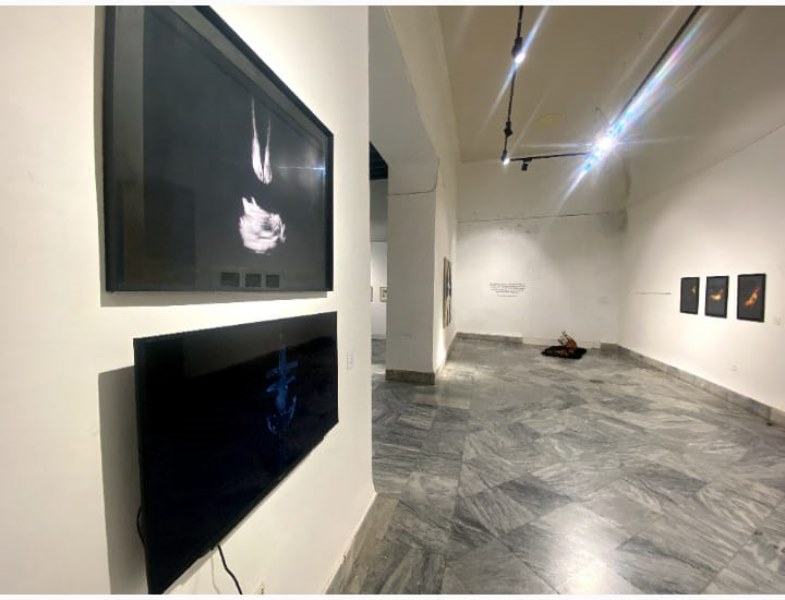 Obras en la muestra colectiva Vaso de tiempo