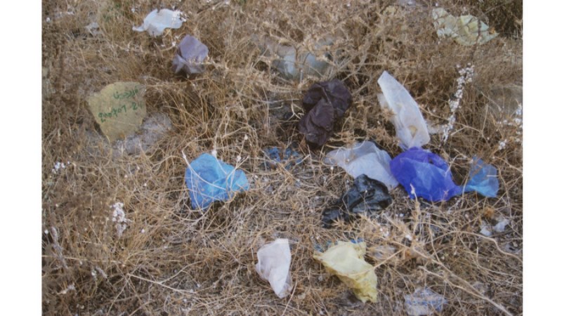 Martina Morger Are We Dead Yet?