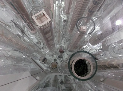 Nido sin árbol en plena Rampa habanera