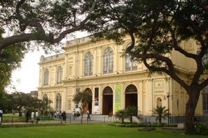 A Curator of Contemporary Art for MALI