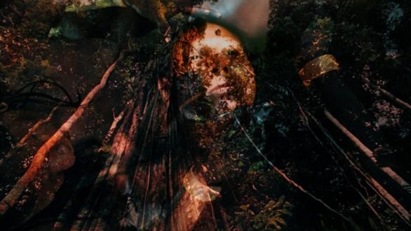  Claudia  Andujar. Floresta  amazónica  Pará  da  série  Sonhos  Yanomami  Amazon  Forest  Pará  from  Yanomami  Dream  series. Courtesy  Galeria  Vermelho