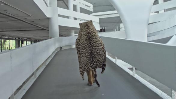 Edgar Calel-Fernando Pereira Dos Santos-Sueño de obsidiana. Proyectos Ultravioleta