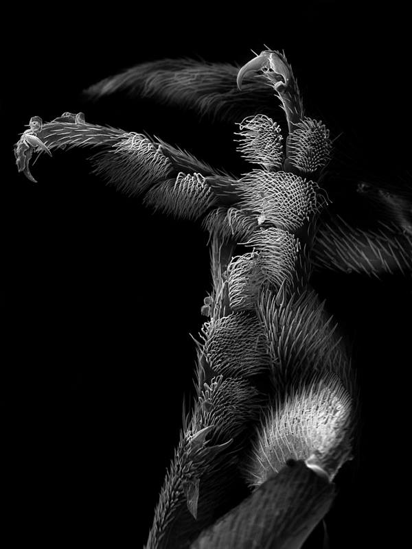 exposicion-soles-negros-yves-tremorin