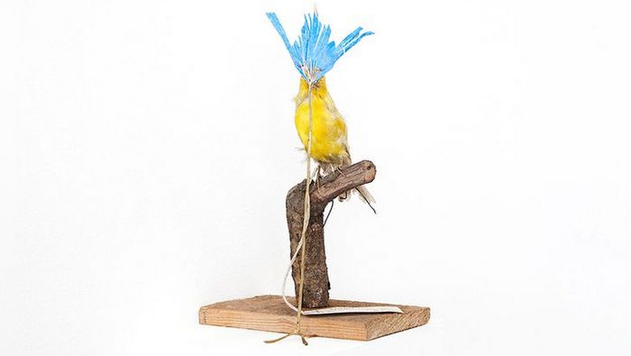 Petrit Halilaj: Por primera vez en Latinoamérica