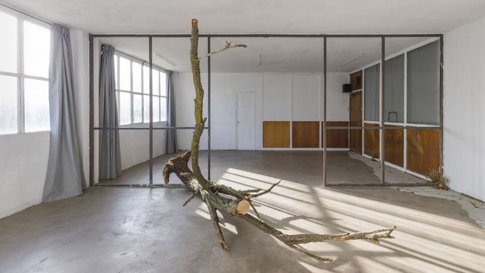 Premio Art Nou 2023 para el artista mexicano Samuel Guerrero