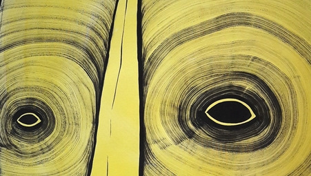 Obras de Fernando Barrios Benavides en 7 Islas Hotel 