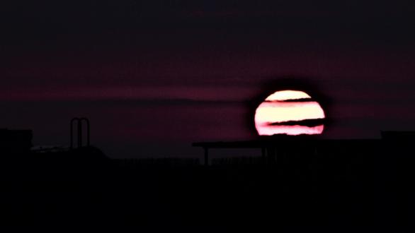 Obra de Duarte. Fotografía de naturaleza que mira al cielo 