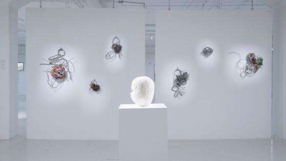 Gary Nader Art Centre