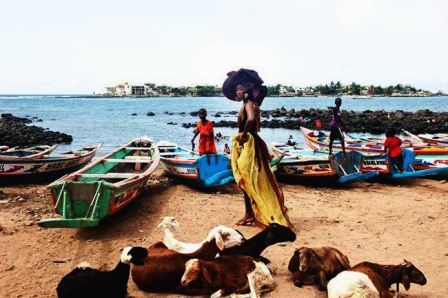  Inauguran en La Habana exposición dedicada a África y su diáspora  