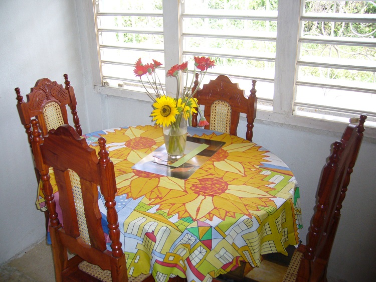 Los girasoles de Nancy Reyes