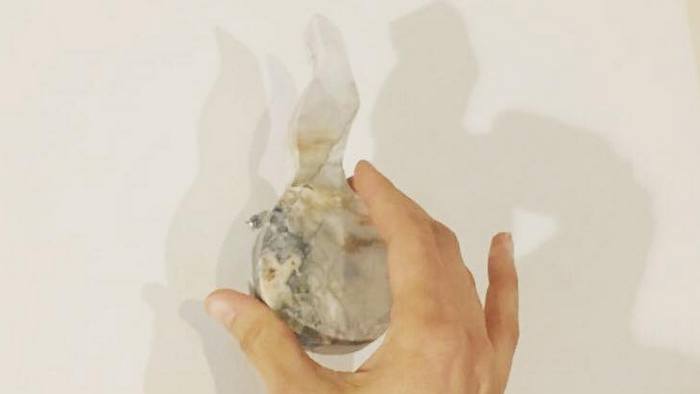 Una nueva mirada a la reina María Antonieta