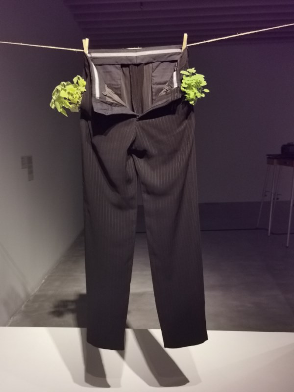 Bolsillo que pica, Mircea Cantor (2007)