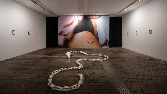 Swab presenta programa General y Myfaf