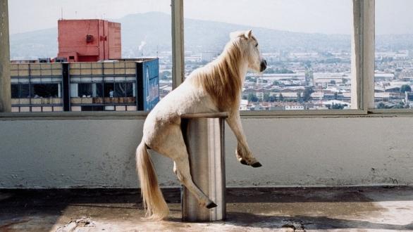 On the Razor’s Edge