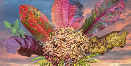 El ‘Arte Corrosivo’ se instala en el XV Salón Regional de Artistas 