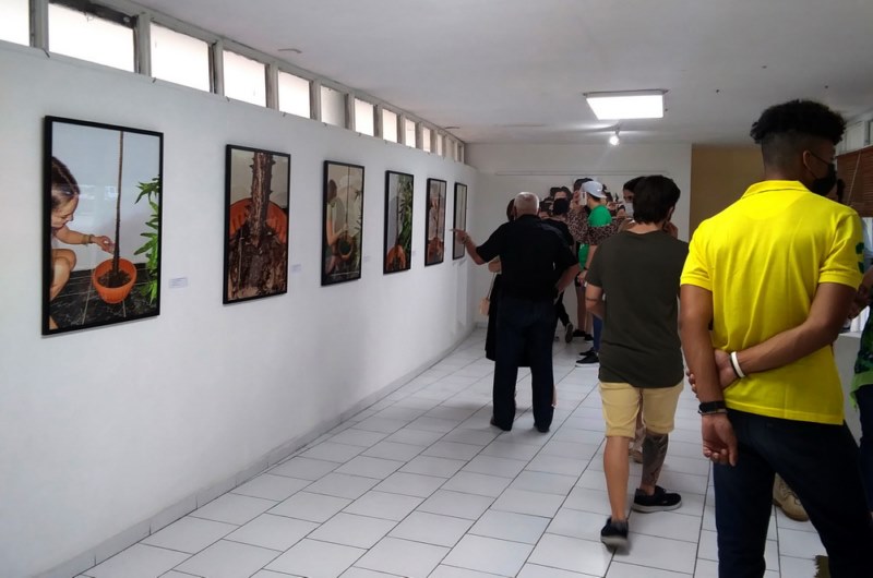 Convergencias, G. W.Lam 13.11.2021