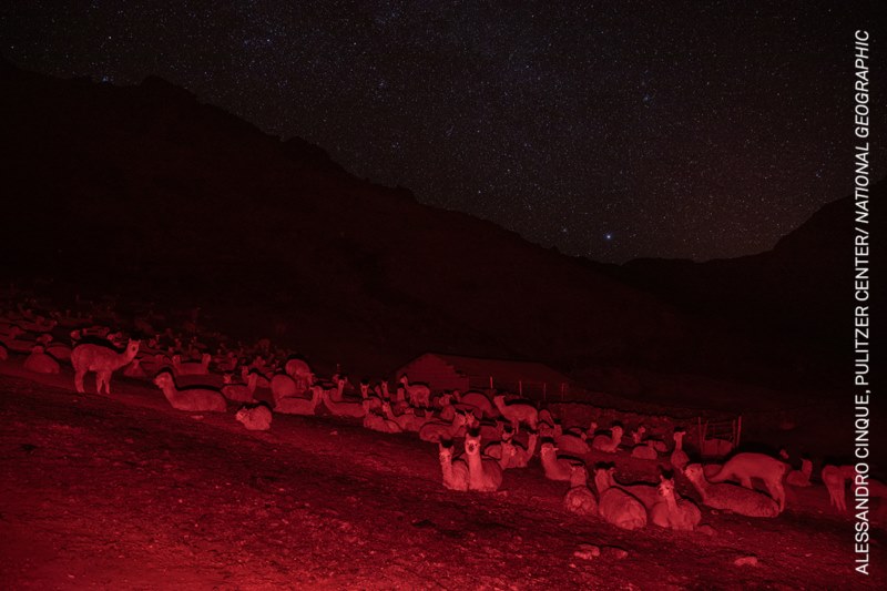 South America_Stories_Online_Alessandro Cinque_Pulitzer Center_National Geographic
