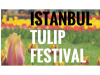 LOGO FESTIVAL TULIPANES