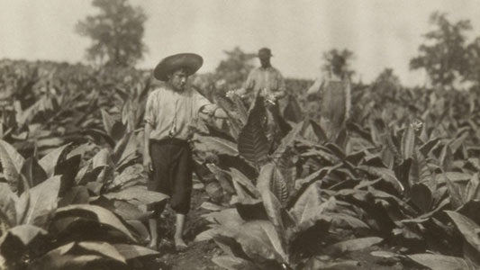 Lewis Hine. Social Justice and Child Labor