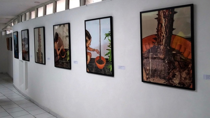 Convergencias (en la Bienal)