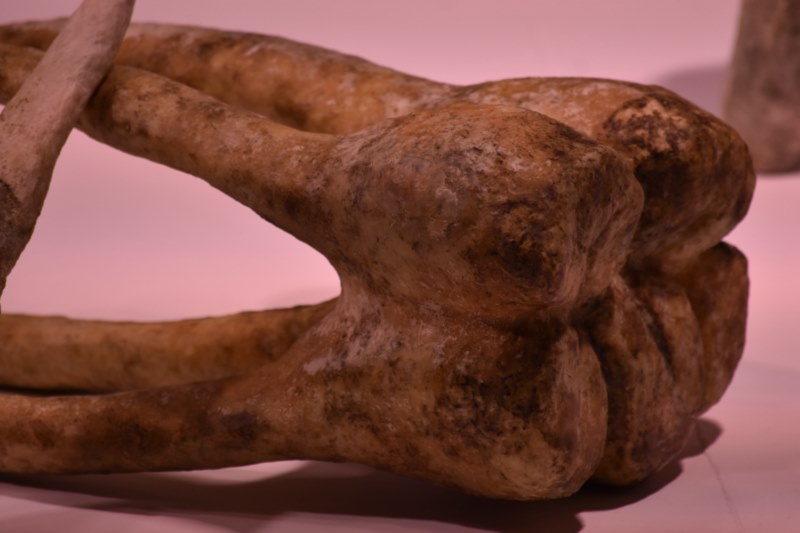 Obra de Carlos Fernández-Pello