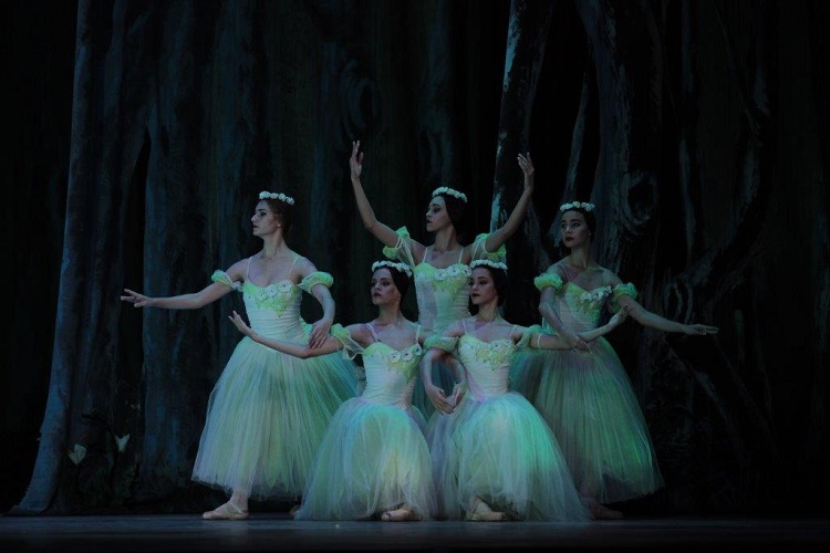 BNC Giselle