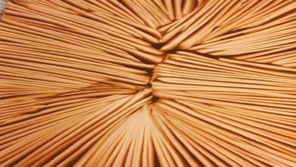 DANIEL VERBIS El frunce y el deseo. Acrílico sobre papel | Acrylic on paper. 160 x 130 cm