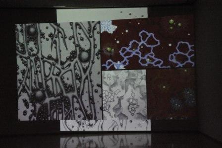 Inauguran “Territorios del tiempo”, de la artista Soraya Abu Naba´a, en el MAM