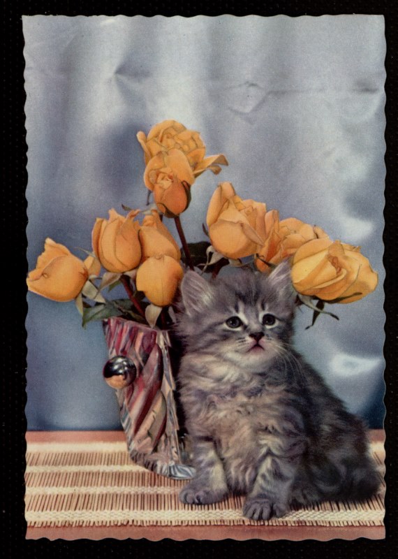 Gato con ramo de rosas (Museo de Historia de Madrid)