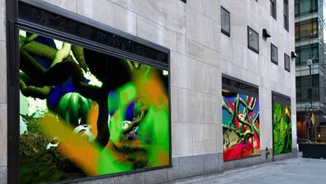 New Interactive Digital Art Installation “Life Forces”