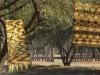 ARTE-TEXTIL-WICHI-EN-NUEVA-YORK