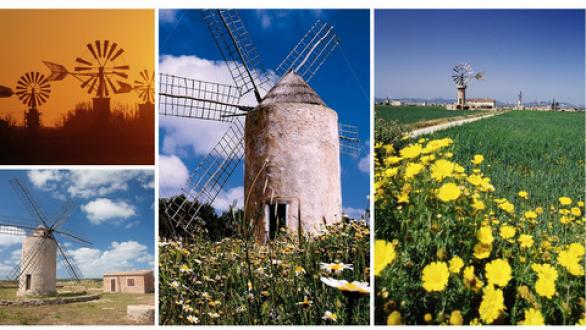 Molinos de viento 