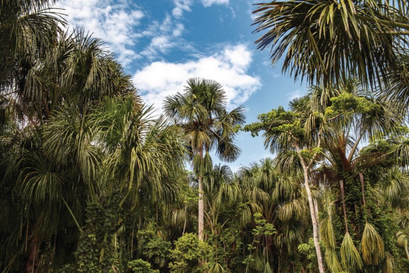 Perú cautiva en Cannes como destino turístico de filmación de talla mundial