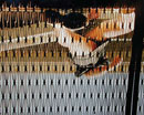 De la instalación El mirón (detalle), 2003
