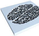 Open mind
Maqueta 3D
3D scale Open mind
Maqueta 3D
3D scale